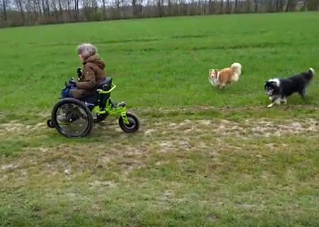 eTrike im Einsatz beim Gassi gehen